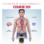 Course 201 (Delivered With Full Privacy)