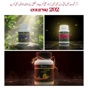 Course 202 (Delivered With Full Privacy)